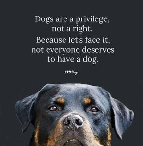 Meet your Posher, Gregg